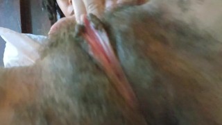 Worship this pussy pt. 16