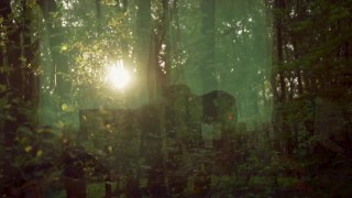 El sexo contando desde el amor, en los tiempos del porno