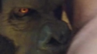 Enjoy this Gorilla Mouth. He will blow you good while staring with his red eyes.