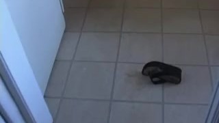 Young brunette with perky tits rides an ebony stud in bed