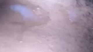 Straight forward more fresh nut