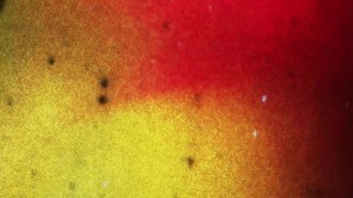 BRAZILIAN TRANSSEXUALS - Intense bareback t-lesbian action