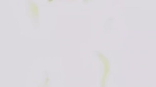 I can take it all Papa