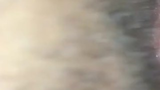 Dándolesuavequevinodevisita