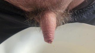 Pissing in the kitchen