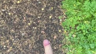 Jerking my dick in public flash