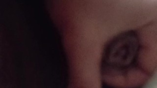 Acabada a presión que tapa la cámara de tanto semen