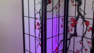 Sheer lingerie try on haul 2024