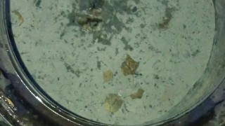 The Ultimate Solo Male Outdoor Pissing Compilation