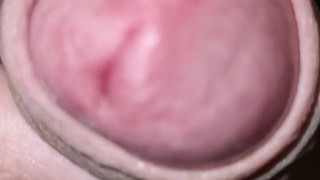 Soft to hard and cum