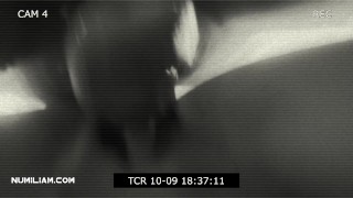 Pulsating Creampies Compilation