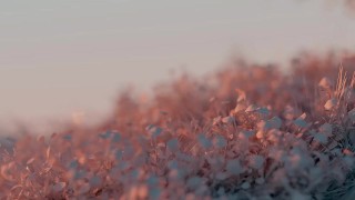 Teen BBW Loved Her Tight Asshole Being Stretched Out