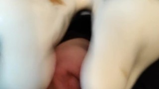 Hangover cumshot left me shaking