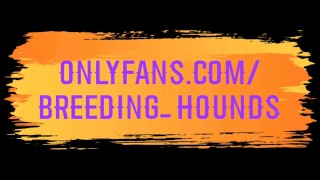 Bearded stud blowing his buddy thick hairy dong.