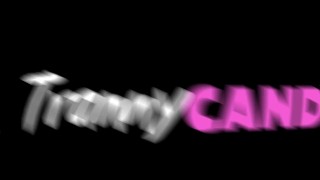 Hot small tittied Asian Tranny Loves His Cock