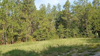 The Naked Rang-Slanger 19 (a furry?)