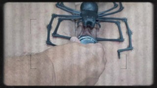 HAPPY HALLOWEEN 2024