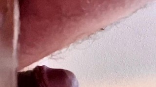 The Chronicles of a Rimmer (compilation) vol. 1.