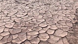 Dois vem um onibus abandona no deserto e decidem transar lá - Alemaohub