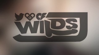 Beefy Daddy Wakes Up To Huge Cock!