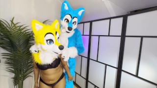FURRIES IN HEAT MATING , CUM INSIDE