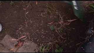 Faye Reagan And Victoria Valentino In Cougars Love Kittens- PervMilfsnTeens