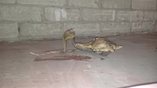 Plastic Bottle Crush & Trample. Flattened under my dirty size 11 boots 👣