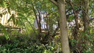 Pegging a slave in the bushes in nature