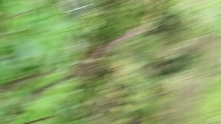 Naughty piss near the path