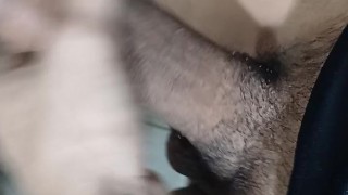 I masturbate with my huge and thick brunette cock before going to the family reunion