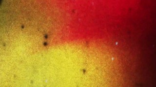 BRAZILIAN TRANSSEXUALS - Wendy Santos Dildo Masturbation