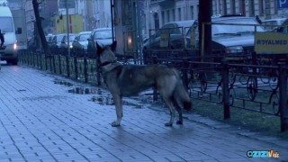 Cute blonde masturbates before blowing her boyfriend