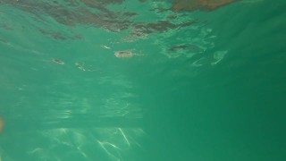 Jock swims in string (no cum)