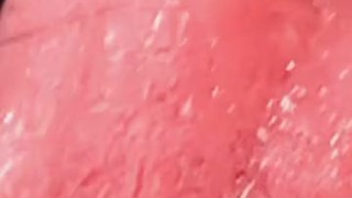 Wet Mouth and Long Tongue