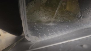 Pissing all over cheap kitchen cabinet door