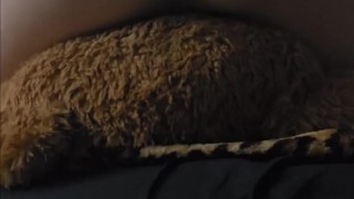 Girl Gets Slutty Starts Teddy Bear Humping