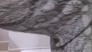 Arab Stepmom orgasm sex horny cuckold masterbation