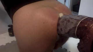 Doggy anal in round ass gape huge cock dildo Mr Hankey the Theeng XL