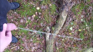 Pissing in the forest