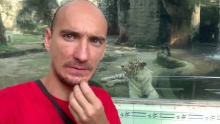 The Tigers of Saigon