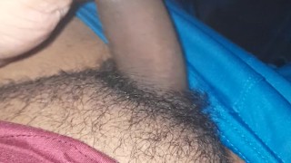 Pau mole alongamento 2024