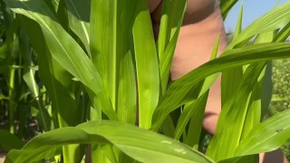 Erst spazieren und dann in der Natur gefickt !