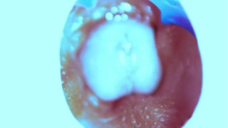 How I fuck from the inside! Camera inside!