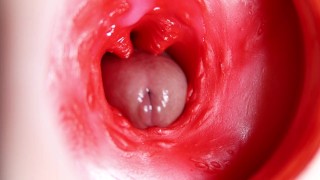 This beautiful pussy is pulsating and squeezing my cock! Camera inside the hole!