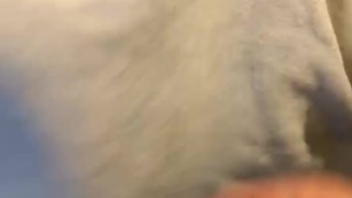 Final feliz 🤭🤤