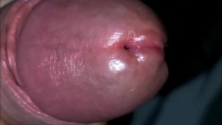 an excited penis and a beautiful very very very close up!!!