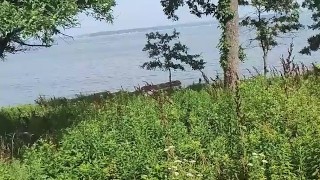 NUDE ISLAND WALKING AROUND NUDE BEACH OUTDOORS REAL BEACH SEX