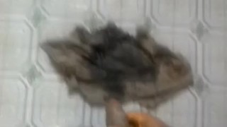 NAUGHTY AMATEUR TEEN PISSING ON HIS CLOTHES