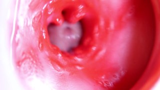 A big red cock inside a juicy hole can give sperm at any moment!