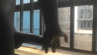 ALMOST BUSTED 😂 PUBLIC MASTURBATION